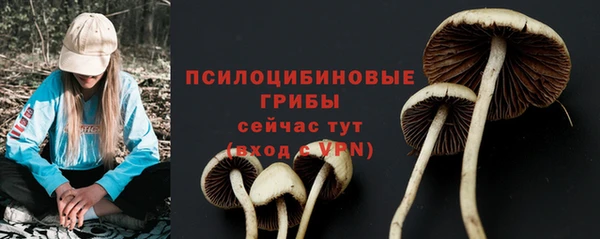 каннабис Корсаков
