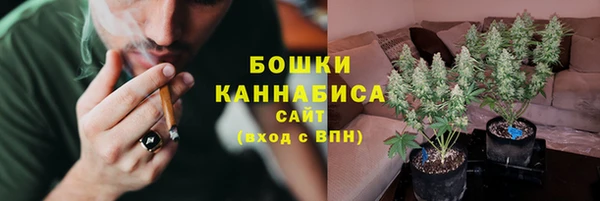 каннабис Корсаков
