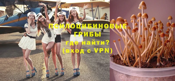 каннабис Корсаков