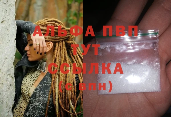 гашик Краснослободск
