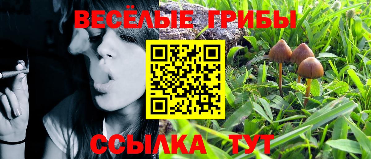 Галлюциногенные грибы GOLDEN TEACHER  Вход с VPN  Протвино 