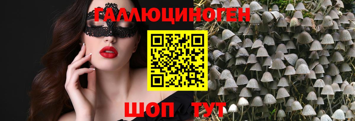 Галлюциногенные грибы прущие грибы Протвино